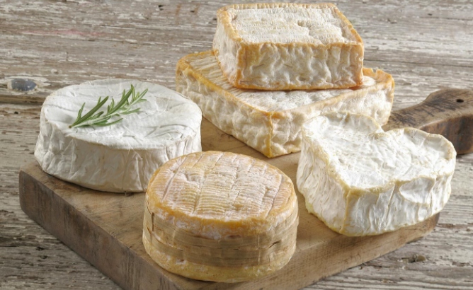 Fromages à pâte molle