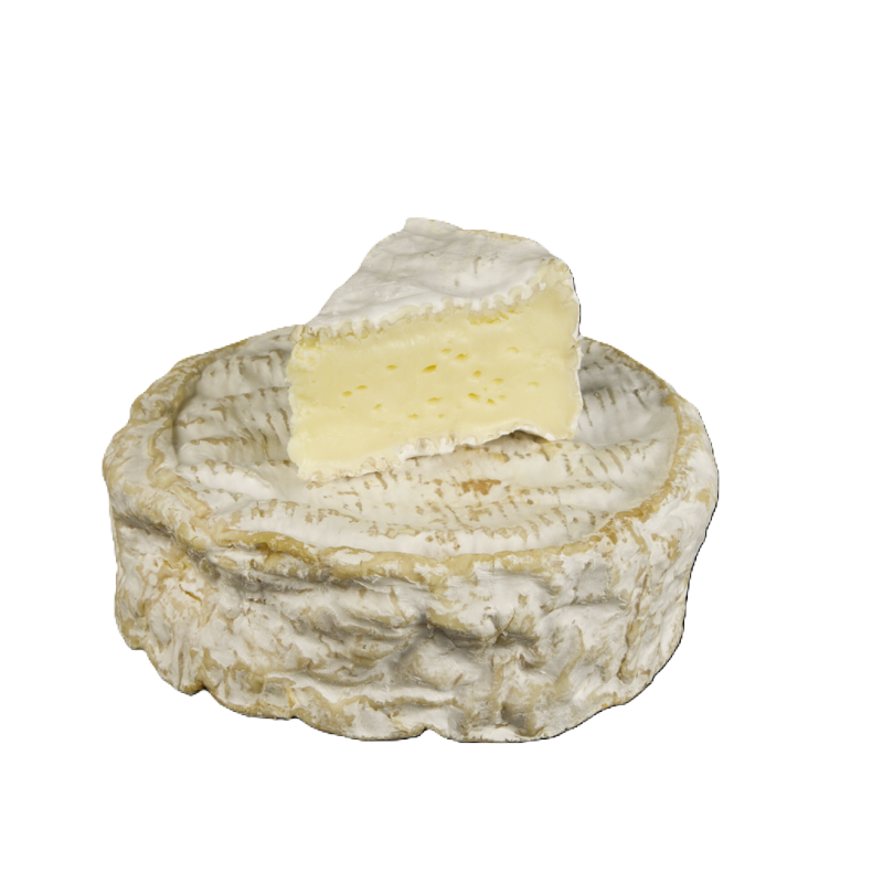 CAMEMBERT