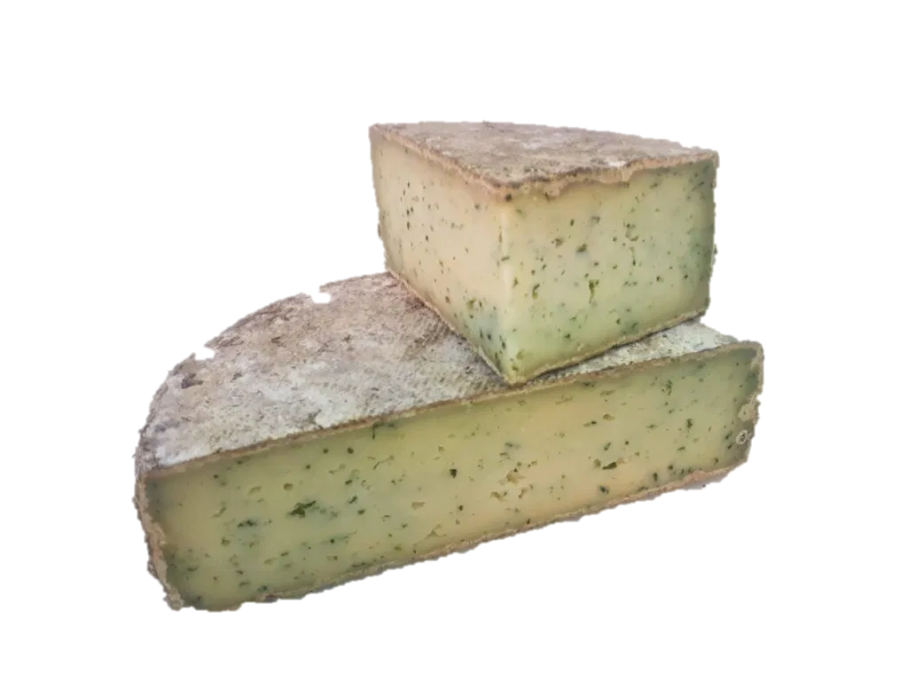TOMME DE MONTAGNE AIL DES OURS