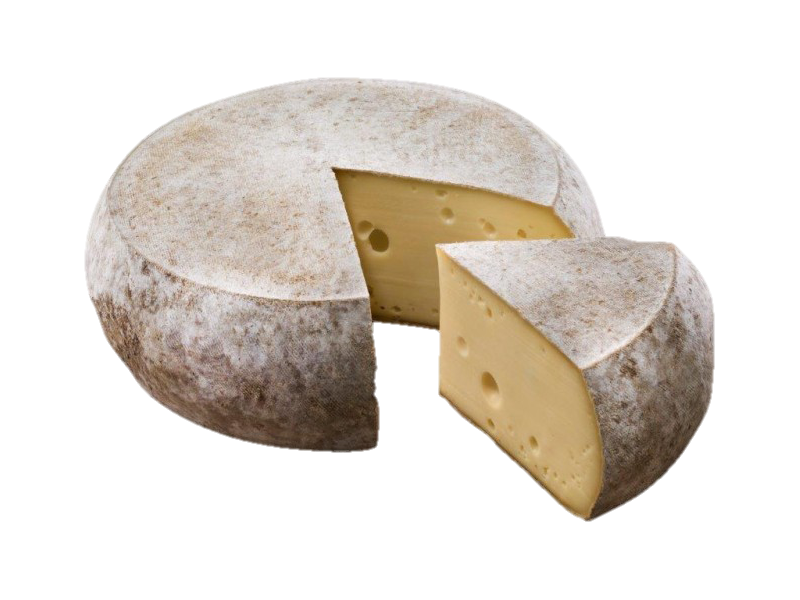 TOMME AU LAIT DE MONTAGNE