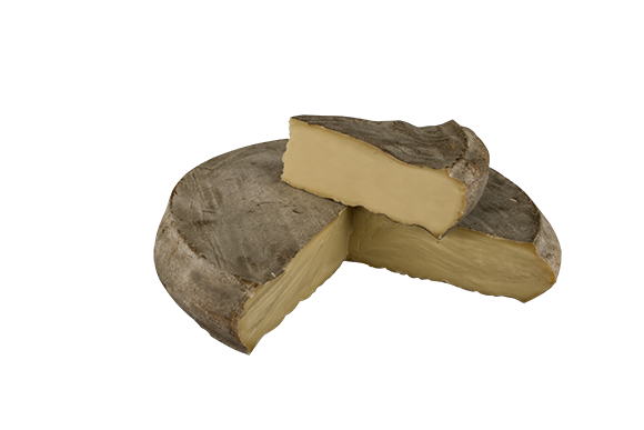 SAINT-NECTAIRE laitier