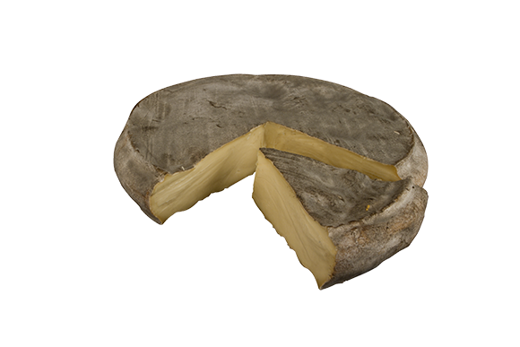 SAINT-NECTAIRE laitier