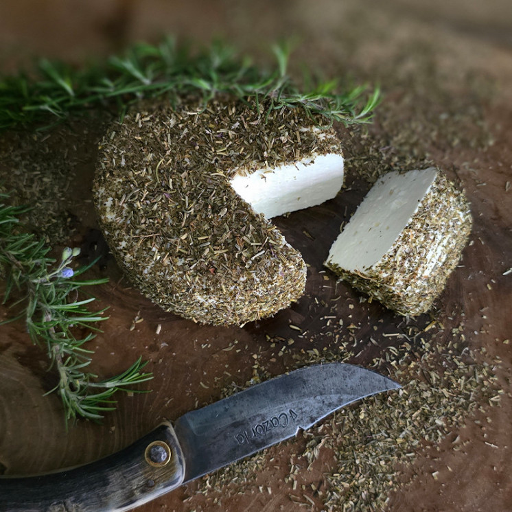 Tomme fleur du maquis