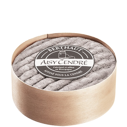 AISY CENDRE